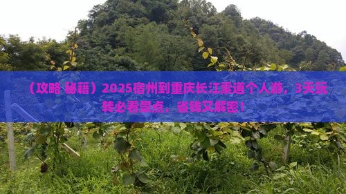 宿州到重庆长江索道个人游