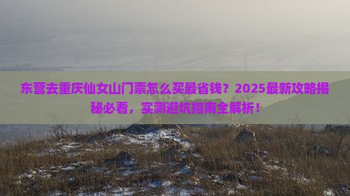 东营去重庆仙女山门票