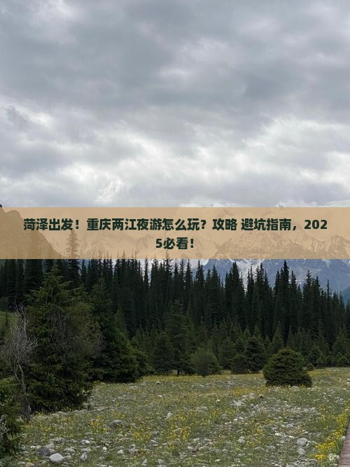 菏泽到重庆两江夜游旅行社