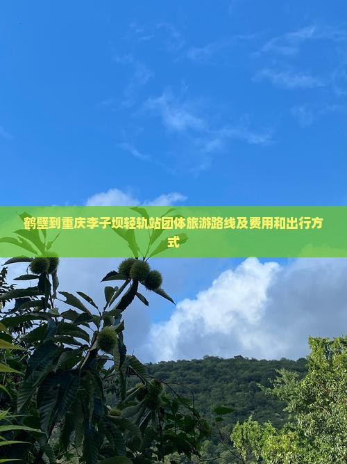 鹤壁到重庆李子坝轻轨站团体旅游