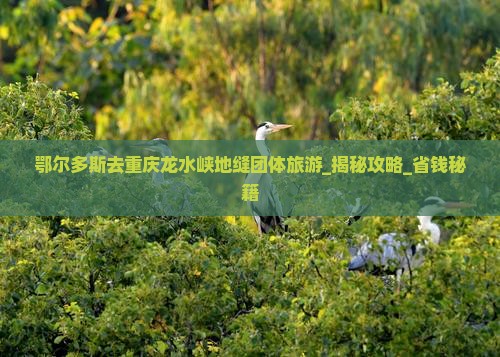 鄂尔多斯去重庆龙水峡地缝团体旅游