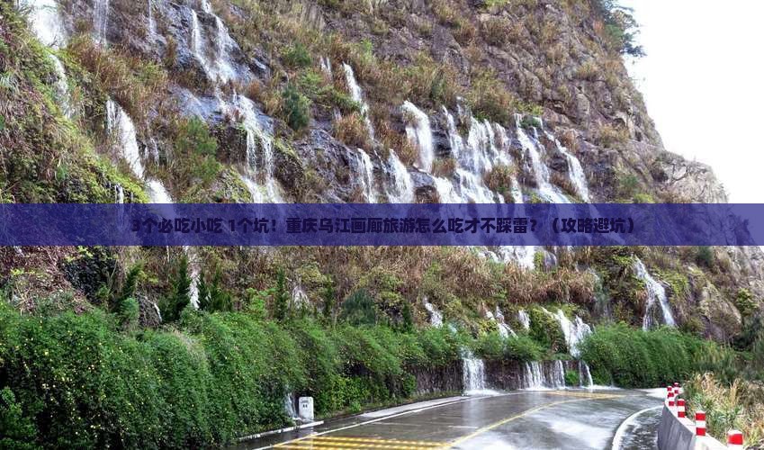 重庆去重庆乌江画廊旅游小吃