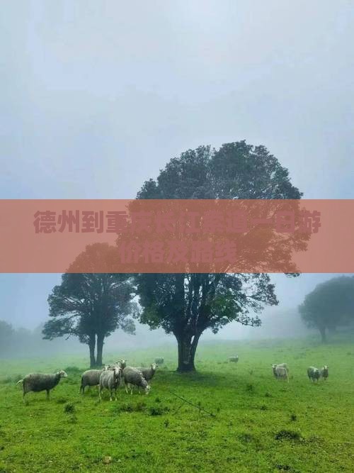 德州到重庆长江索道一日