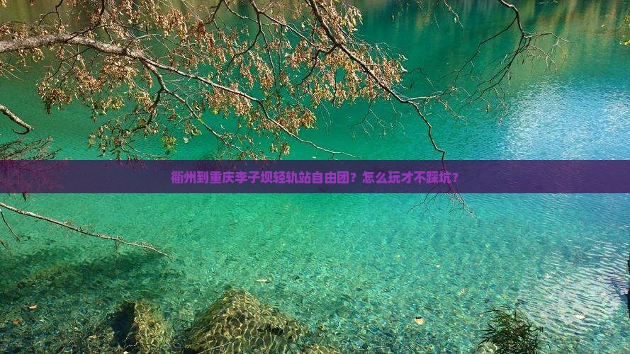 衢州到重庆李子坝轻轨站自由团
