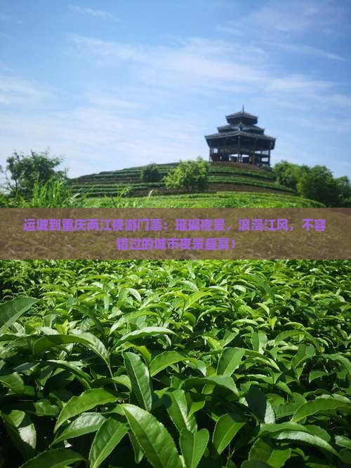 运城到重庆两江夜游门票