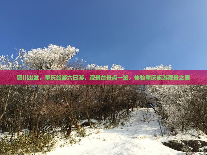 铜川到重庆wfc观景台六日游