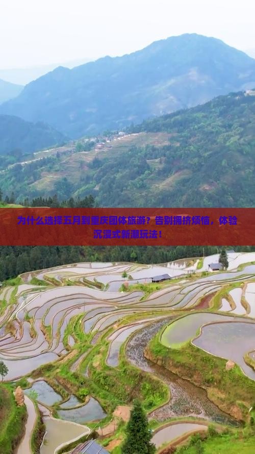 五月到重庆团体旅游