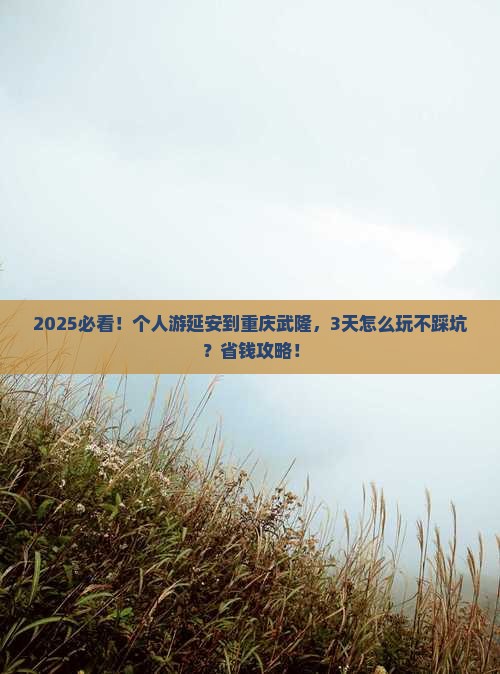 延安去重庆武隆个人游