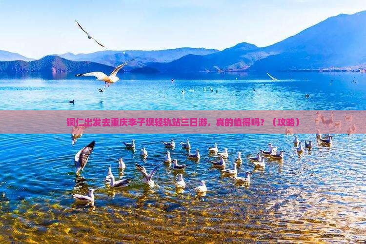 铜仁去重庆李子坝轻轨站三日游