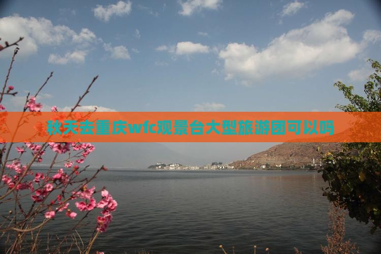 秋天去重庆wfc观景台大型旅游团