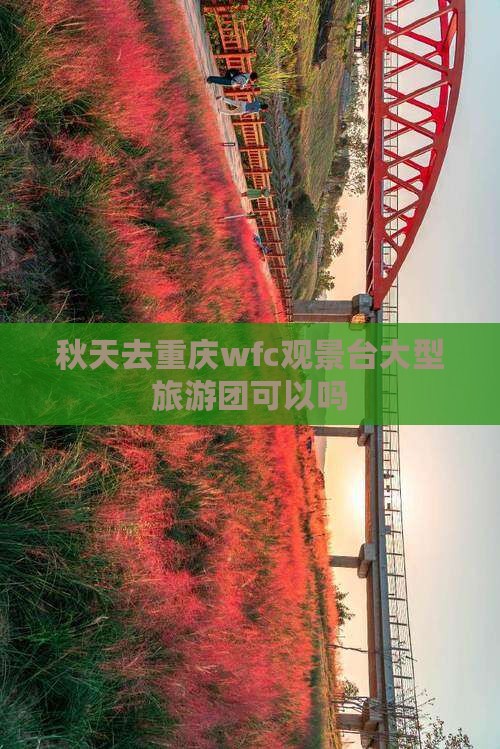 秋天去重庆wfc观景台大型旅游团