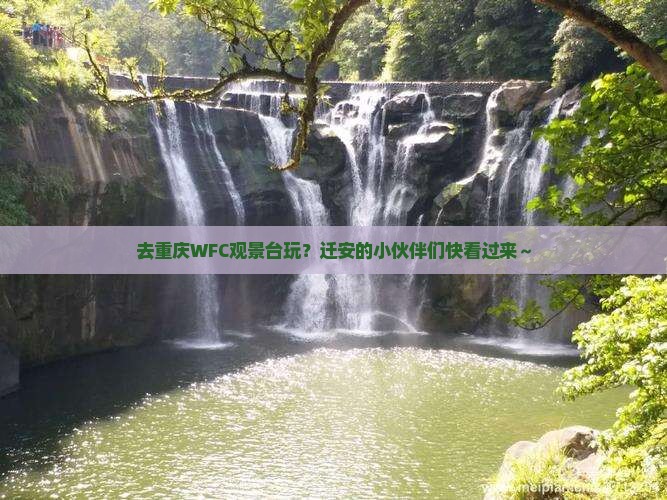 迁安去重庆wfc观景台旅行社