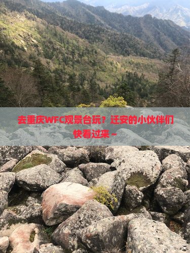 迁安去重庆wfc观景台旅行社