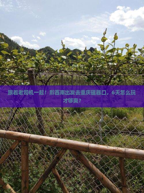 黔西南去重庆磁器口六日游