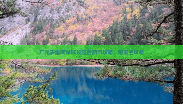 广元去重庆wfc观景台攻略