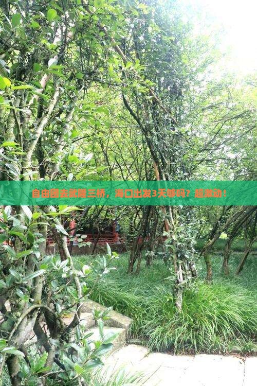 海口去重庆武隆天生三桥自由团