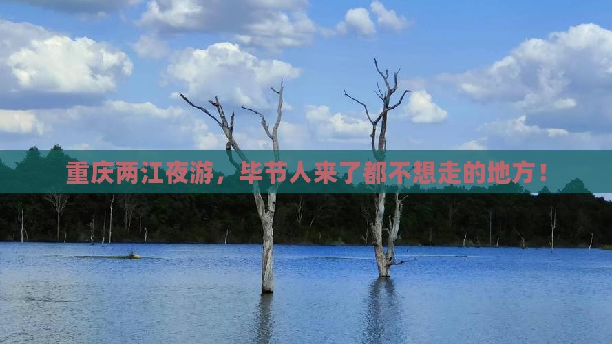 毕节去重庆两江夜游必去地
