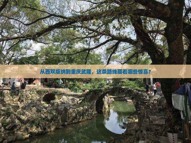 西双版纳去重庆武隆攻略