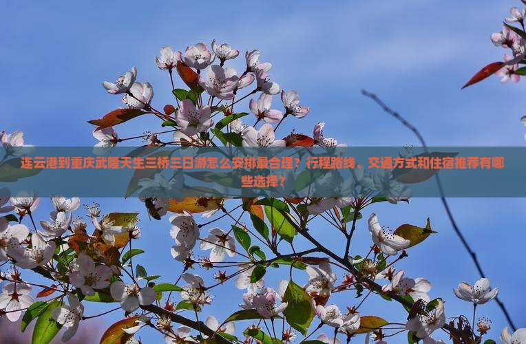 连云港到重庆武隆天生三桥三日游