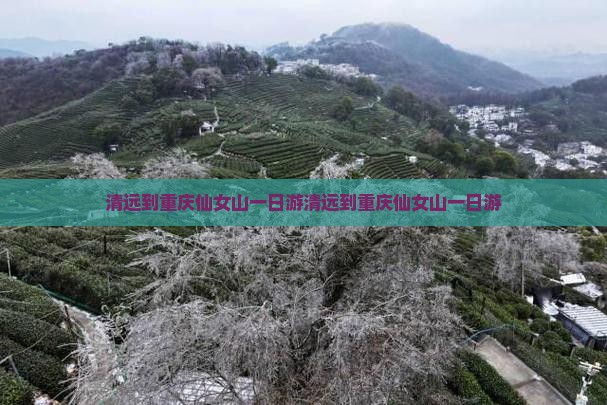 清远到重庆仙女山一日