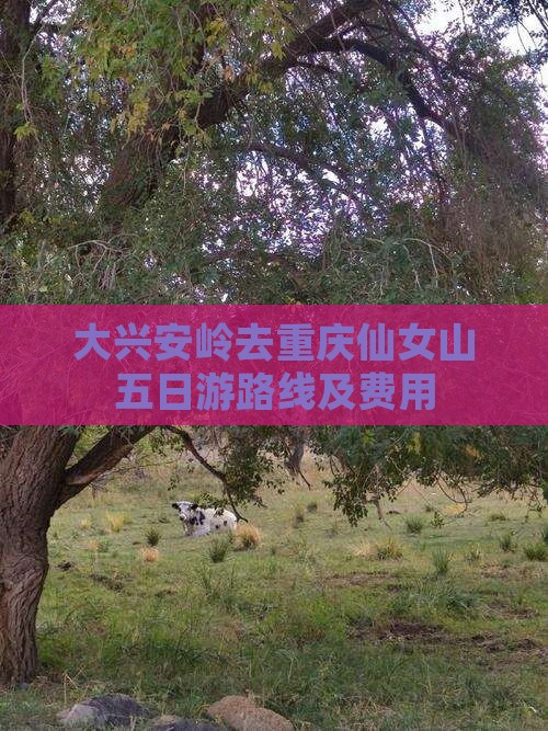 大兴安岭去重庆仙女山五日游