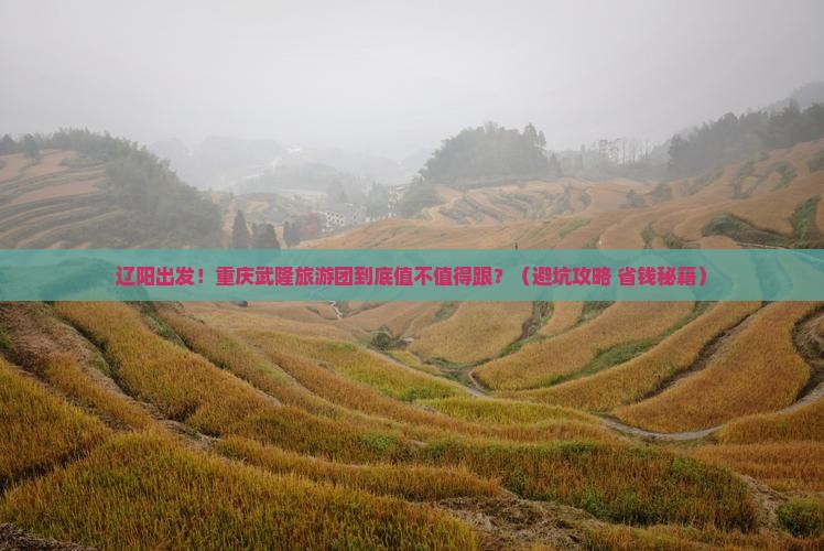 辽阳到重庆武隆大型旅游团