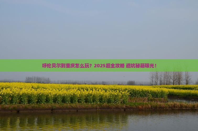 呼伦贝尔到重庆旅行社