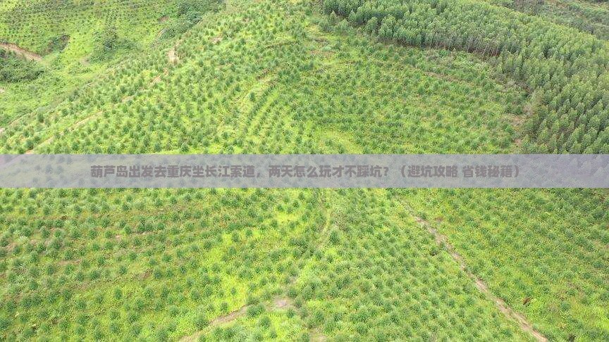 葫芦岛去重庆长江索道二日游