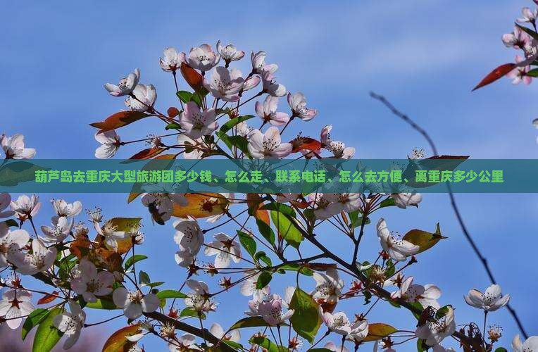 葫芦岛去重庆大型旅游团