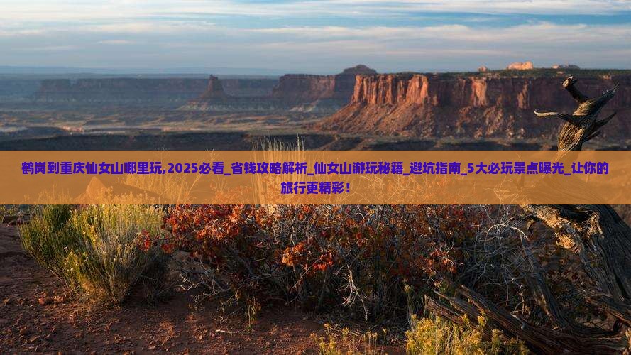 鹤岗到重庆仙女山哪里玩