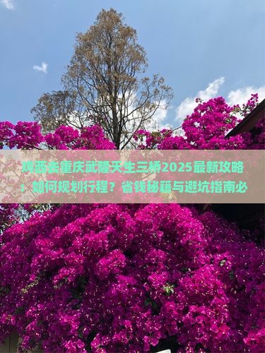 鸡西去重庆武隆天生三桥景点