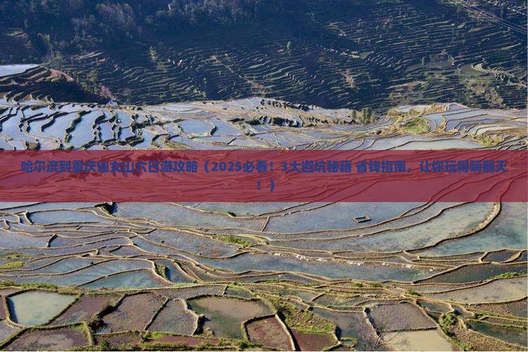 哈尔滨到重庆仙女山六日游