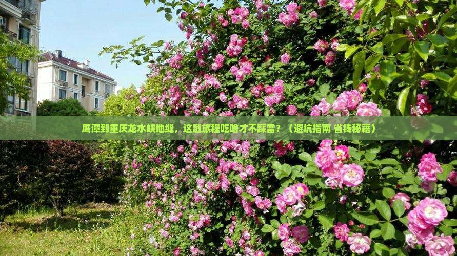鹰潭到重庆龙水峡地缝旅游小吃