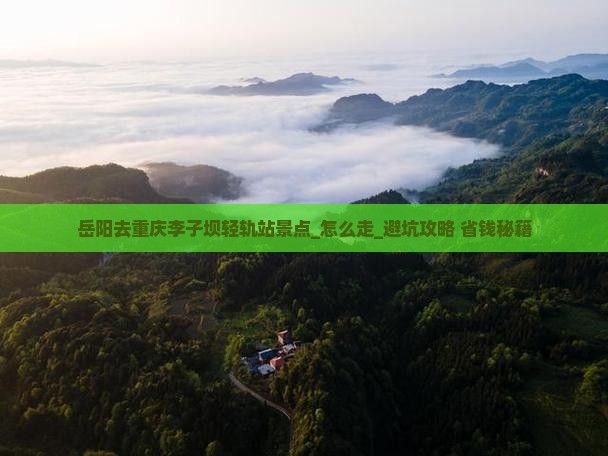 岳阳去重庆李子坝轻轨站景点