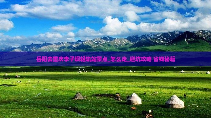 岳阳去重庆李子坝轻轨站景点