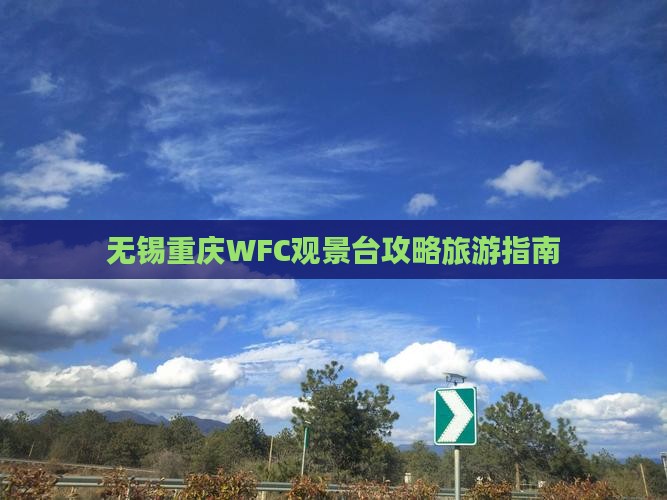 无锡到重庆wfc观景台门票