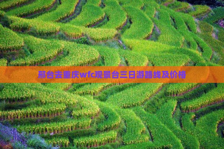 邢台去重庆wfc观景台三日游