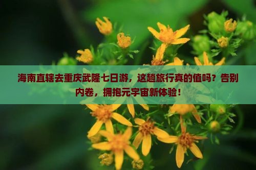 海南省直辖去重庆武隆七日游
