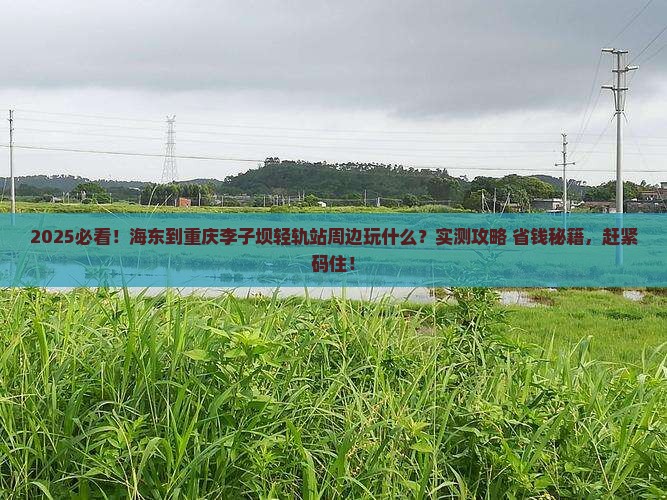 海东到重庆李子坝轻轨站哪里玩