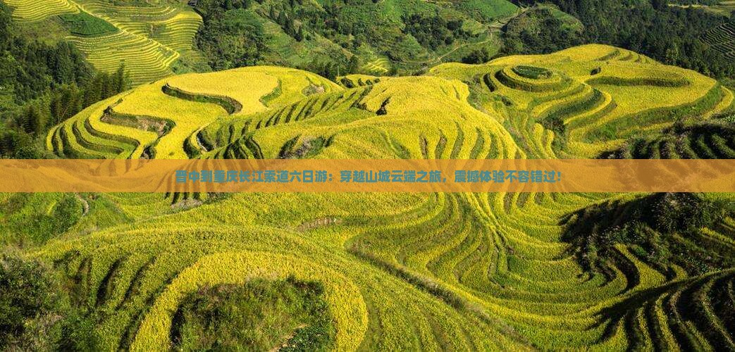 晋中到重庆长江索道六日游