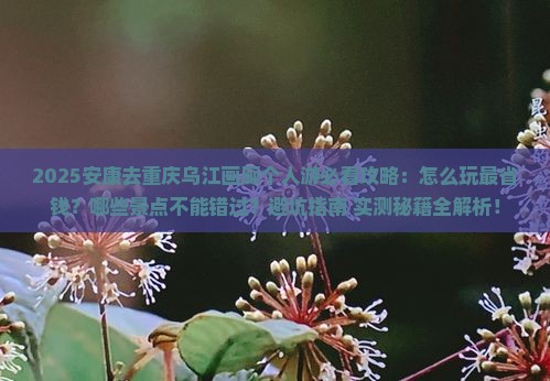 安康去重庆乌江画廊个人游