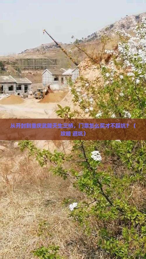 开封到重庆武隆天生三桥门票