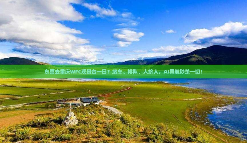 东营去重庆wfc观景台一日