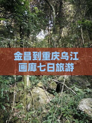 金昌到重庆乌江画廊七日游 金昌到重庆乌江画廊七日游