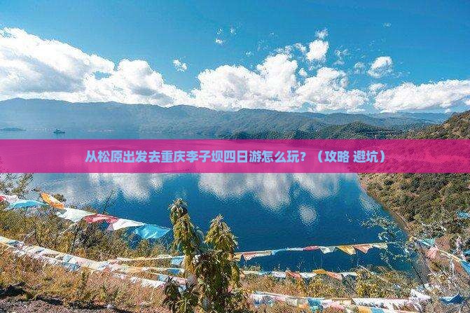松原到重庆李子坝轻轨站四日游