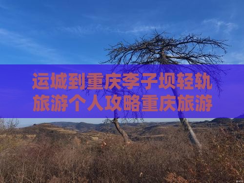 运城到重庆李子坝轻轨旅游个人攻略重庆旅游