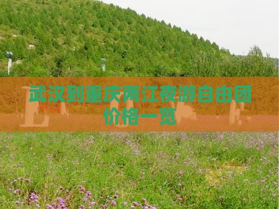 武汉到重庆两江夜游自由团价格一览