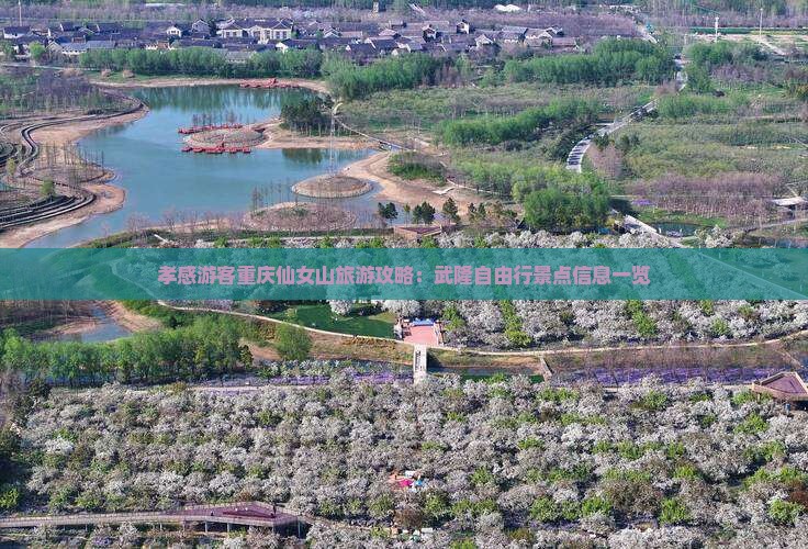 孝感游客重庆仙女山旅游攻略：武隆自由行景点信息一览