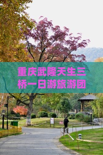 重庆武隆天生三桥一日游旅游团