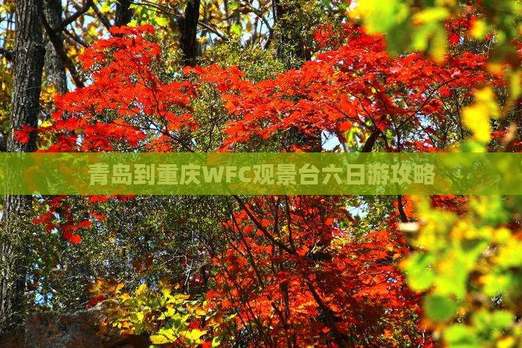 青岛到重庆WFC观景台六日游攻略